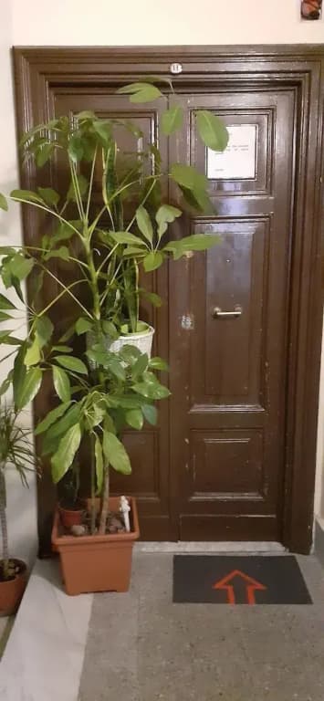Guesthouse Miami - photo 8