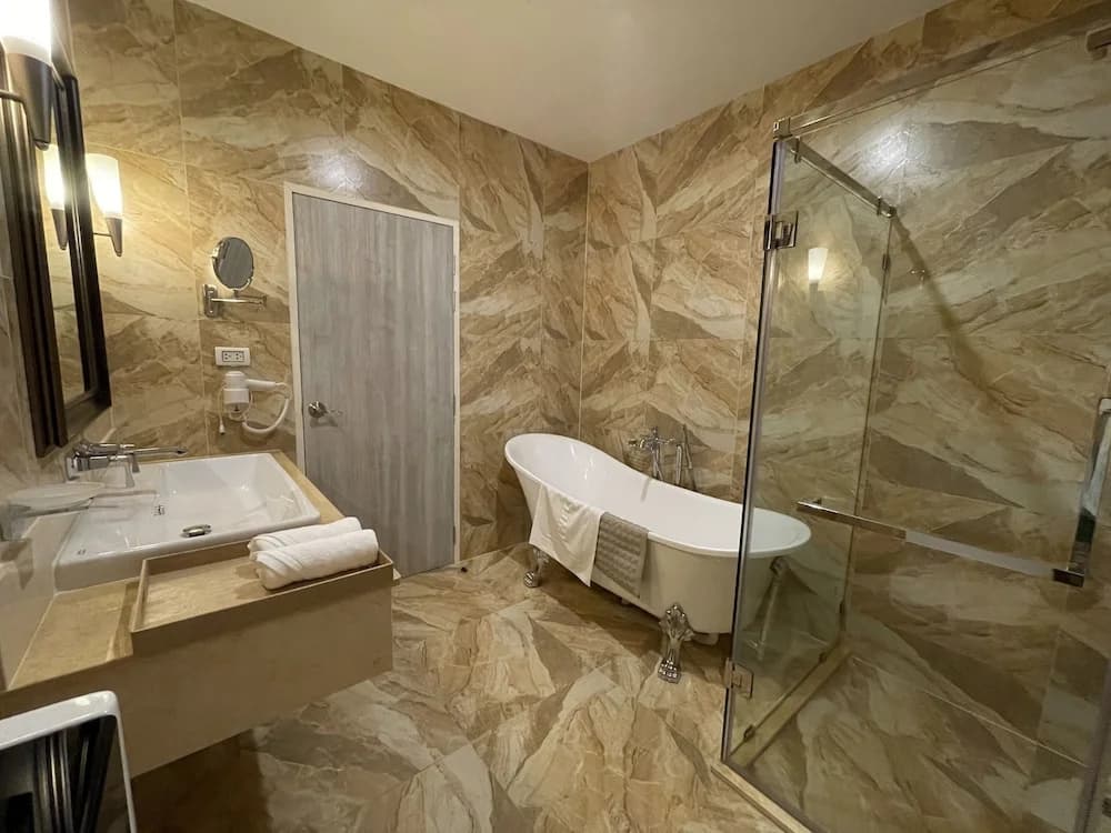 Le Cannes Hotel - photo 8