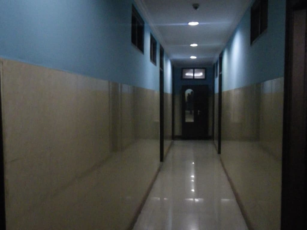Hotel Pal Palace - photo 9