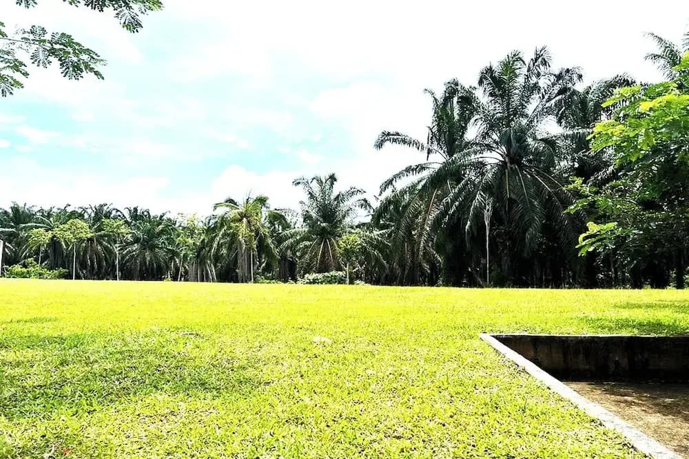 Homestay Mykulim - photo 15