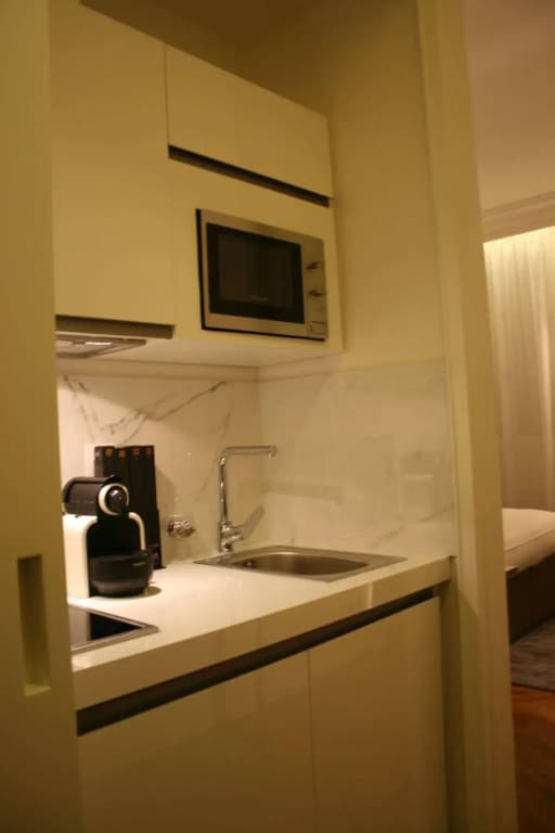 Cirque Deluxe Studio Apartment - photo 4