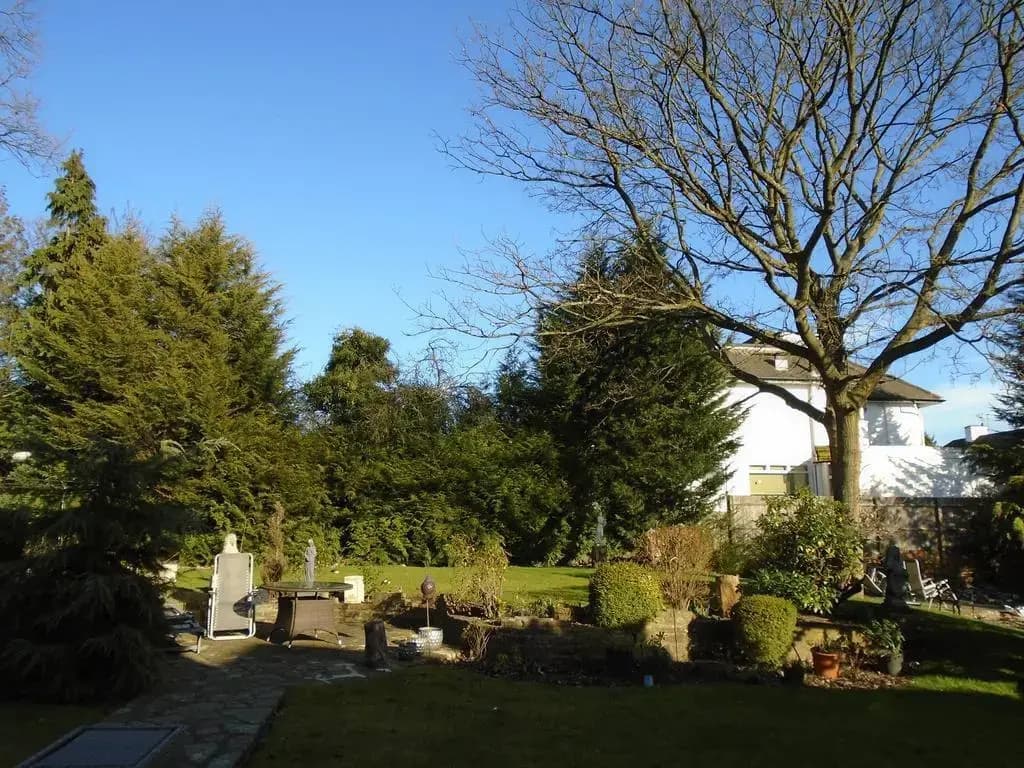 Edgware Bed and Breakfast - photo 10