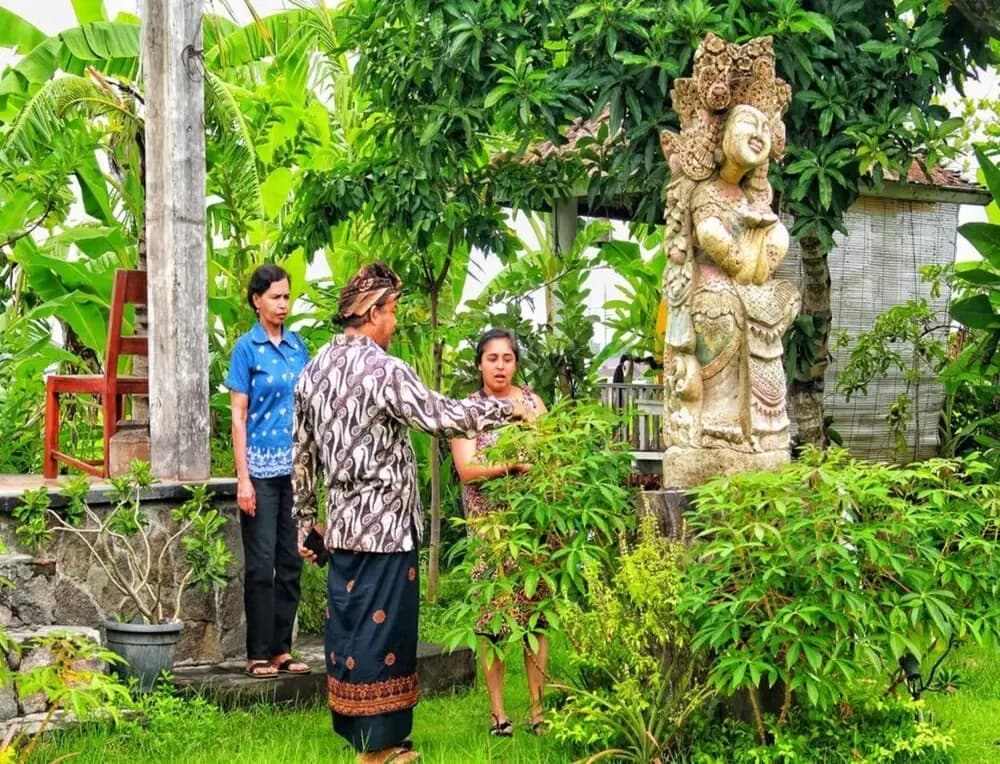 Bali Eco Living Yoga Healing Meditation and Retreat Center - photo 23