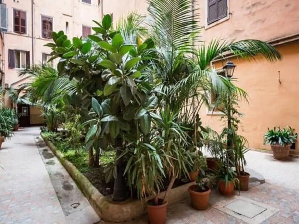 Gio Guest House - photo 10