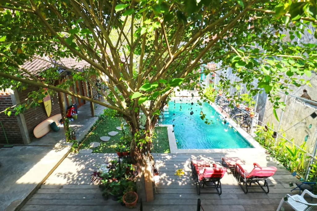 Indopurejoy House - photo 10