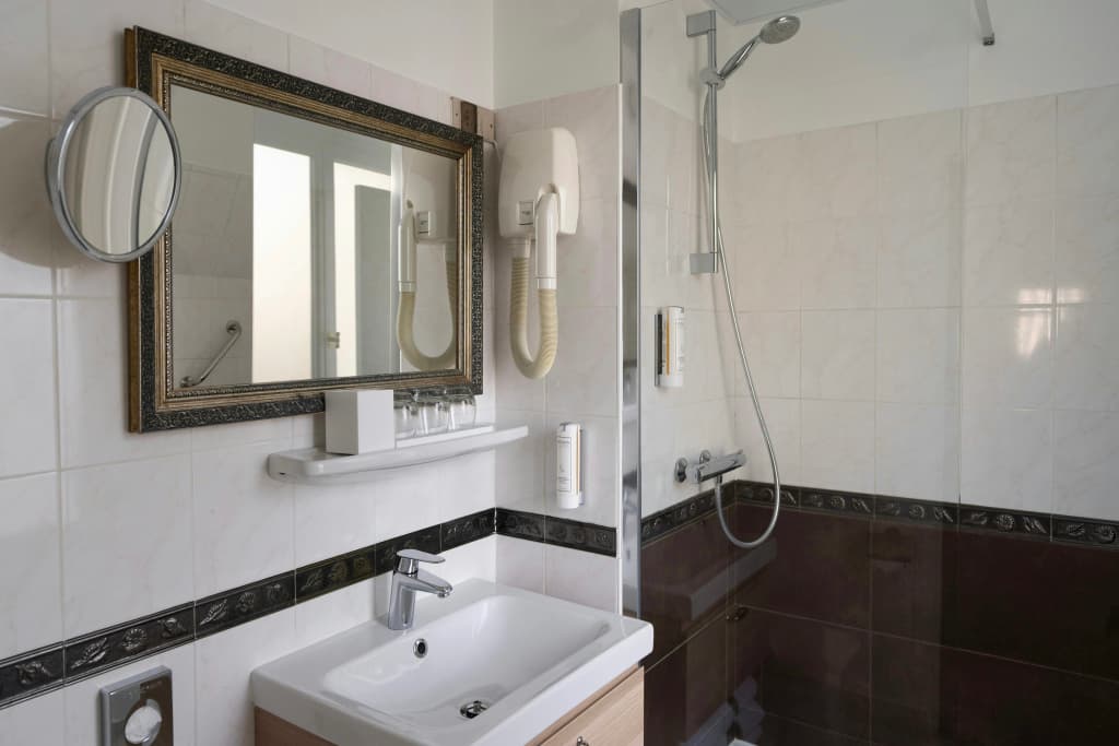Hotel Delavigne - photo 8