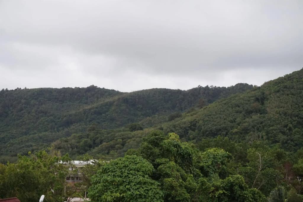 Kamala Beach Residence - photo 17