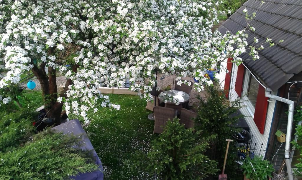 Das kleine Ferienhaus - photo 10