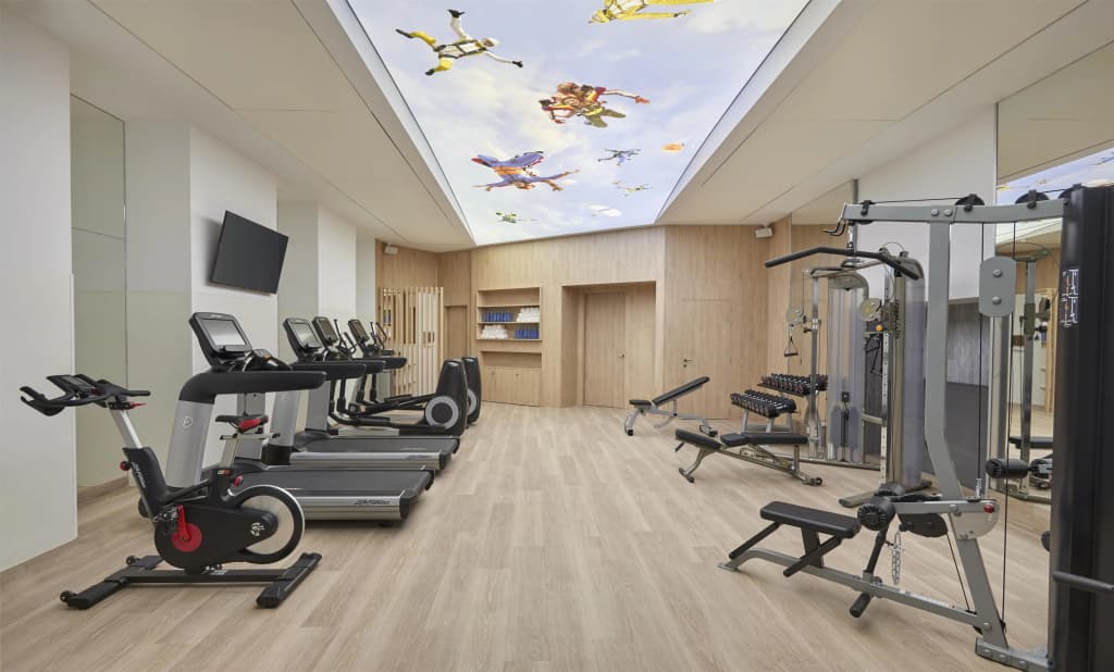 Hyatt Centric Gran Via Madrid Hotel - photo 20
