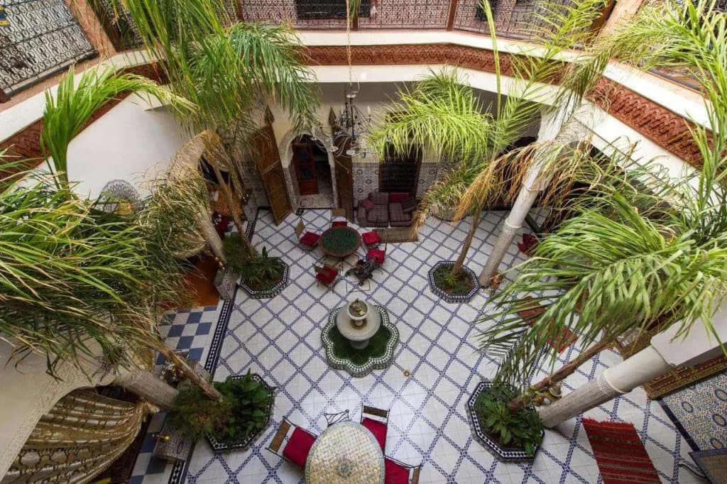 Riad Chennaoui - photo 5