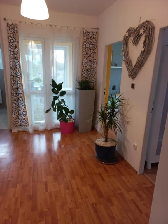 Paradise villa apartment - photo 11
