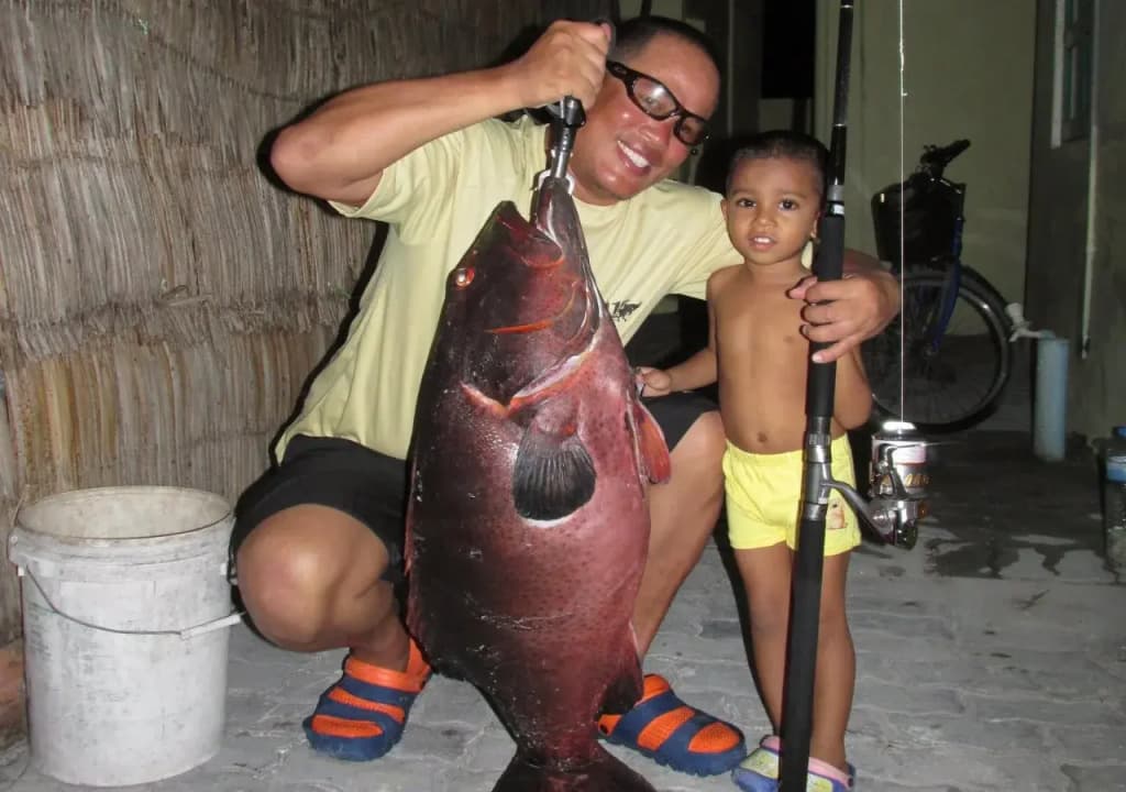 Tropical Lodge - photo 9