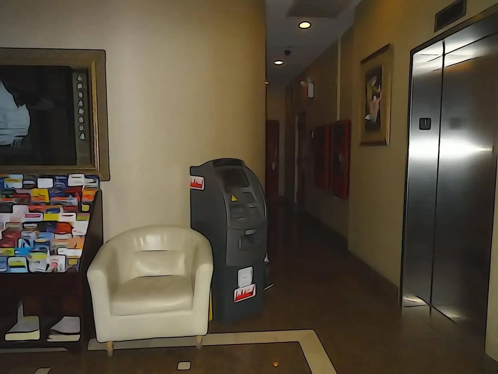 Windsor Hotel - photo 12