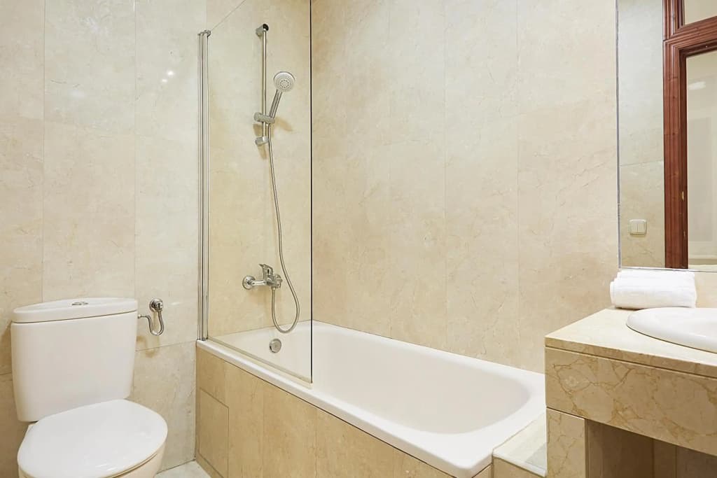 LEEWAYS APARTMENT IX in GRAN VÍA - photo 6