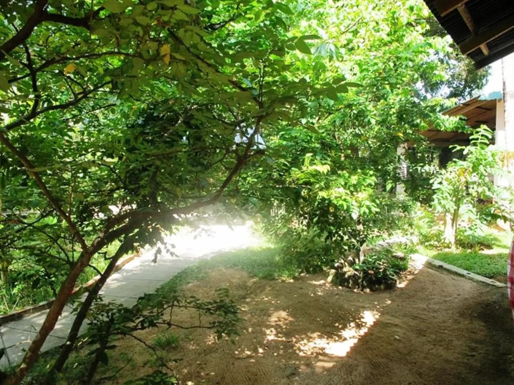 Homestead Garden View Resort - photo 34