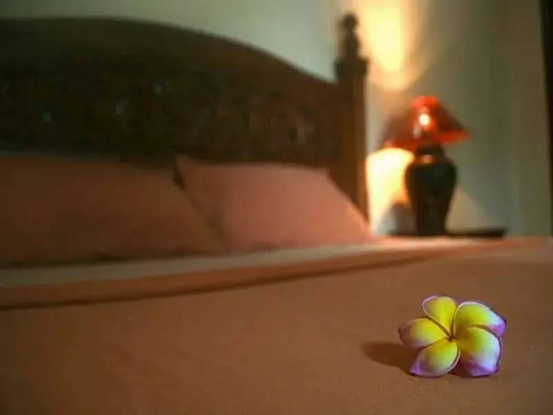 Family Guest House - photo 2
