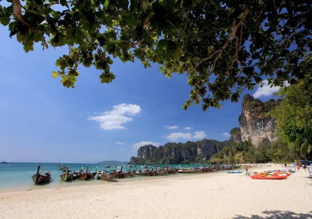 Sand Sea Resort - photo 20
