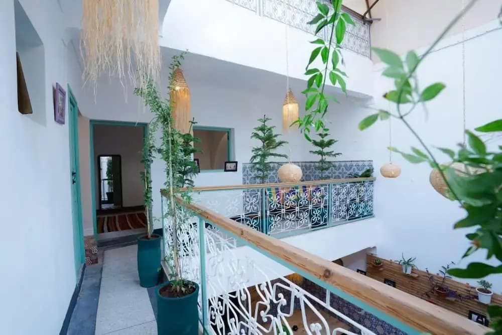 Riad Lkhlil - photo 16