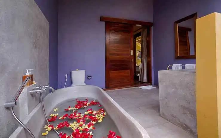 Ubud Royal Villa - photo 12