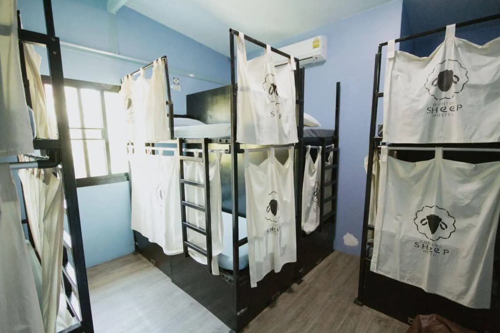 Counting Sheep Hostel - photo 12