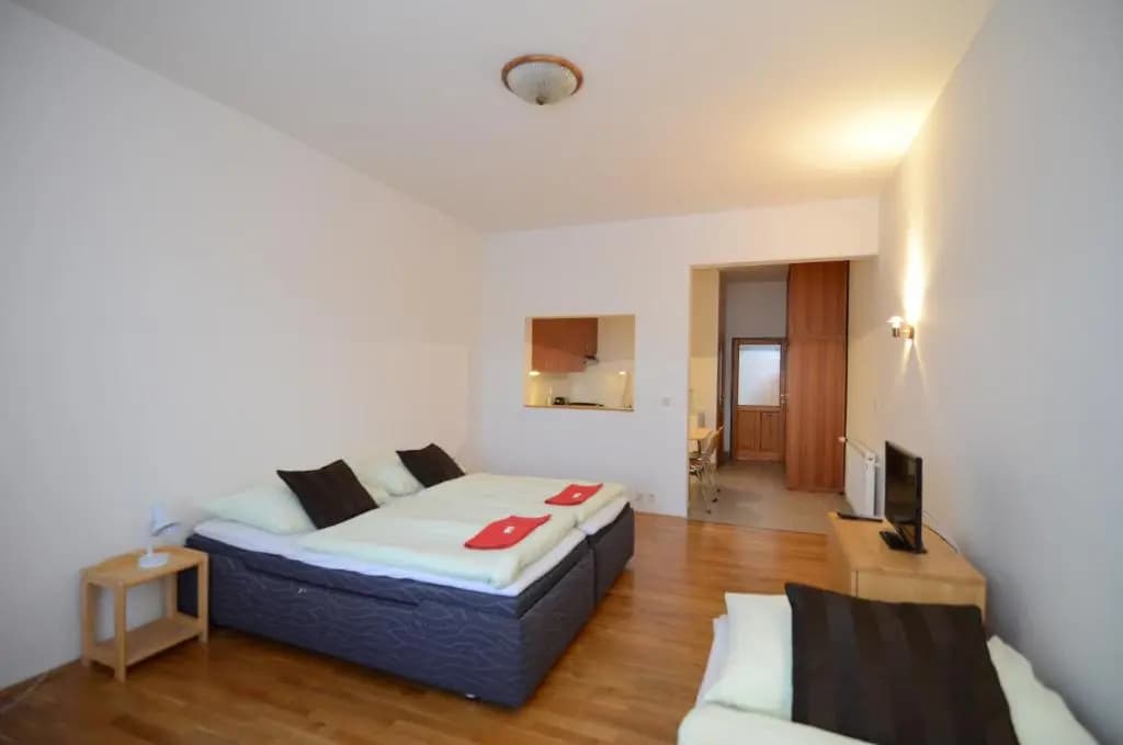 Apartments Karlin - photo 9