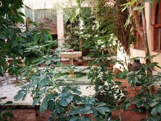 Riad Zouina - photo 10