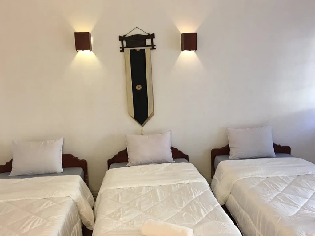 Smileys Guesthouse - photo 6