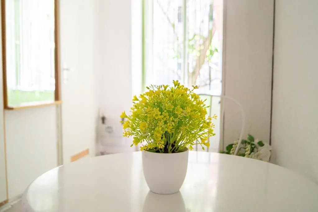 Central 2BR Apt. - Lovely for Long Stays - photo 8
