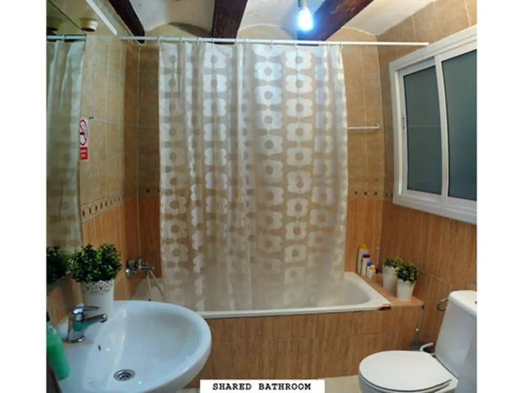 Palace Guesthouse - photo 8