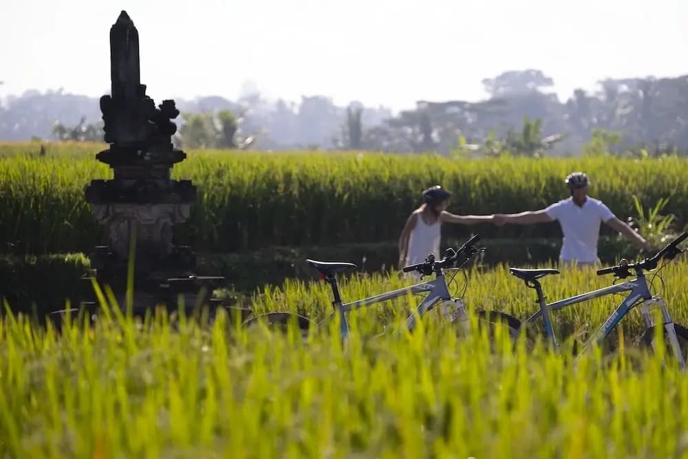 The Samaya Ubud Bali - photo 13