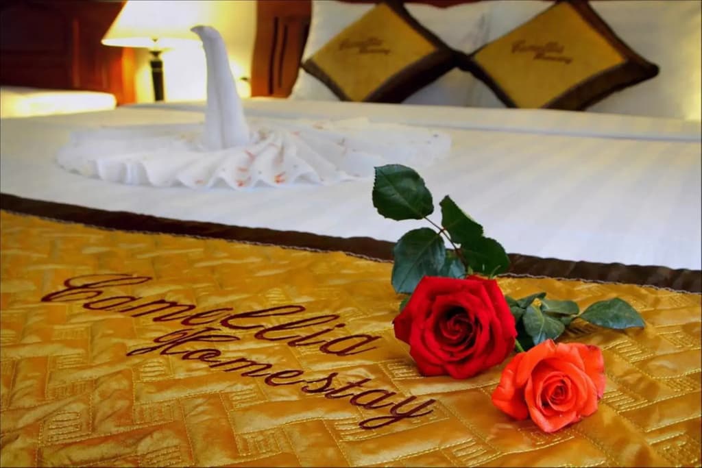 Camellia Homestay - main photo