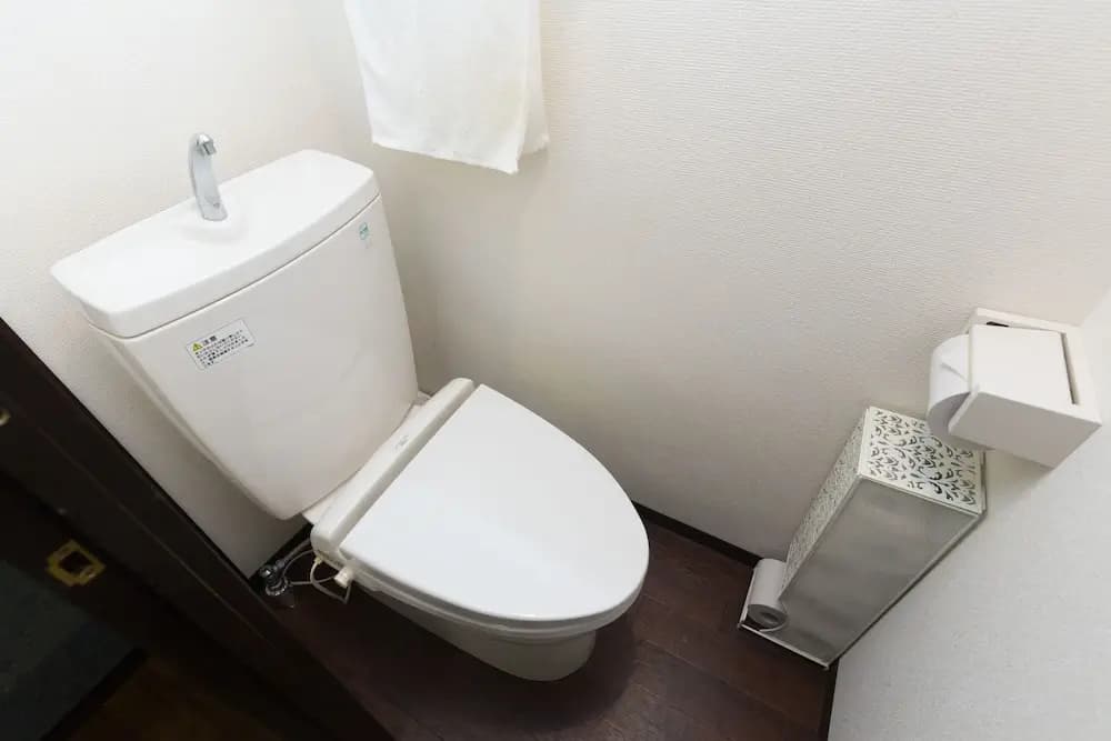 Gojo umeka - photo 8
