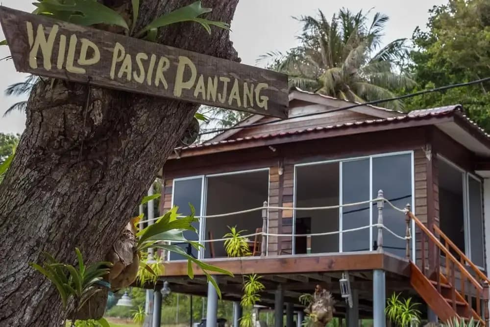 Wild Pasir Panjang - main photo