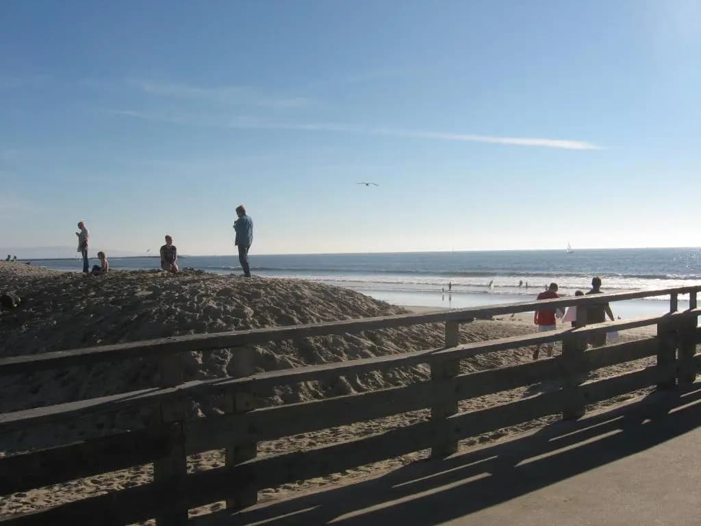 Venice Beach Gem - photo 15