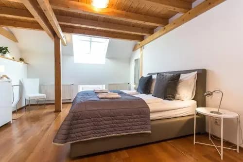 Attic Apartment by Wenceslas Square - photo 5