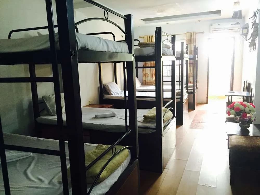 Home Backpackers Hostel - photo 9