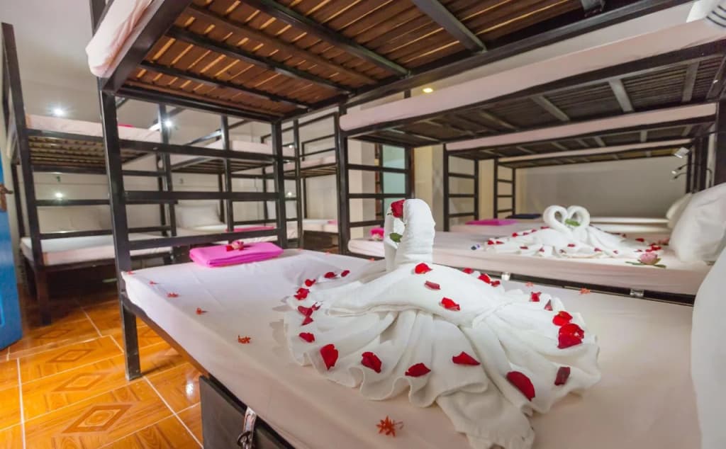 Kafu Hostel & Pool - photo 15