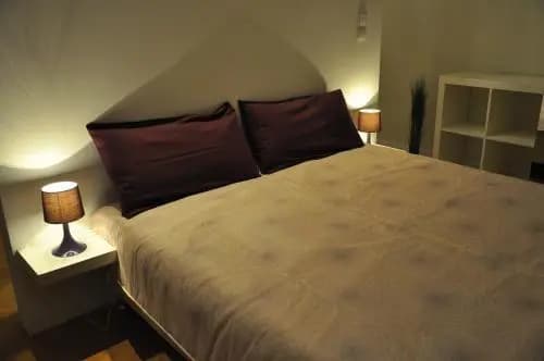 Bluedanube Apartments - photo 2