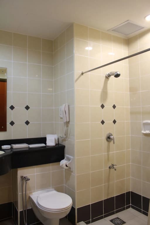 Hotel Putra Kuala Lumpur - photo 5