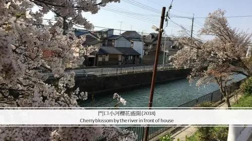 Aoi-Riverside Old Townhouse - main photo