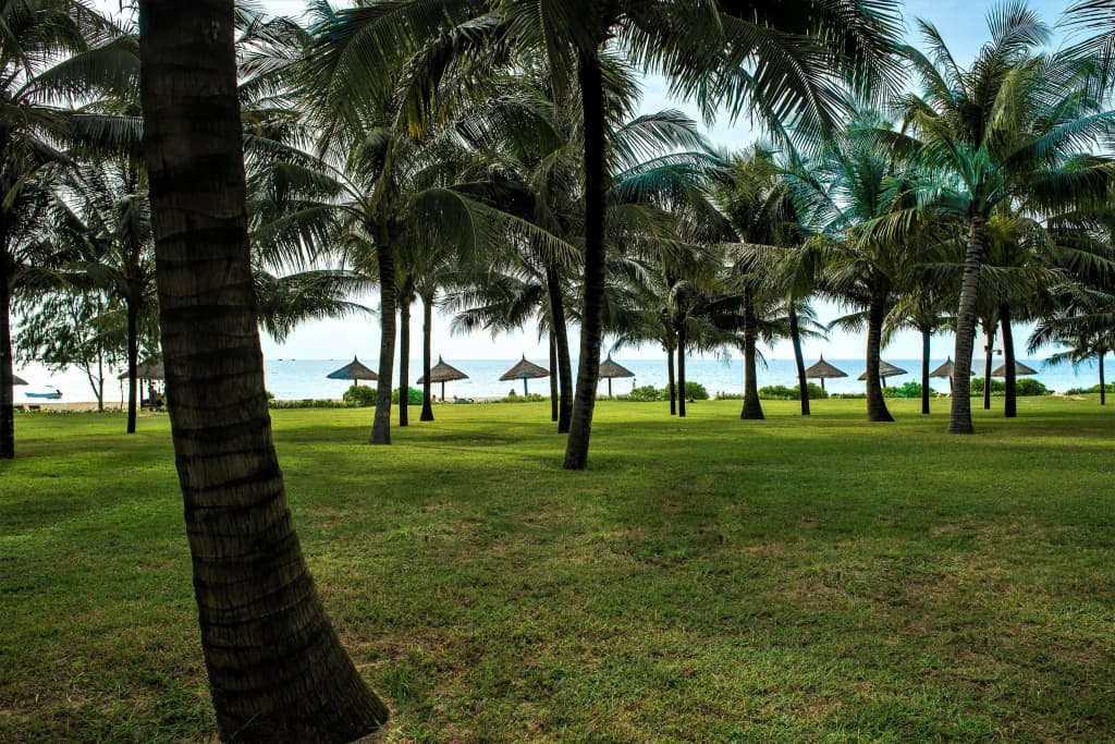 Radisson Blu Resort Phu Quoc - photo 8