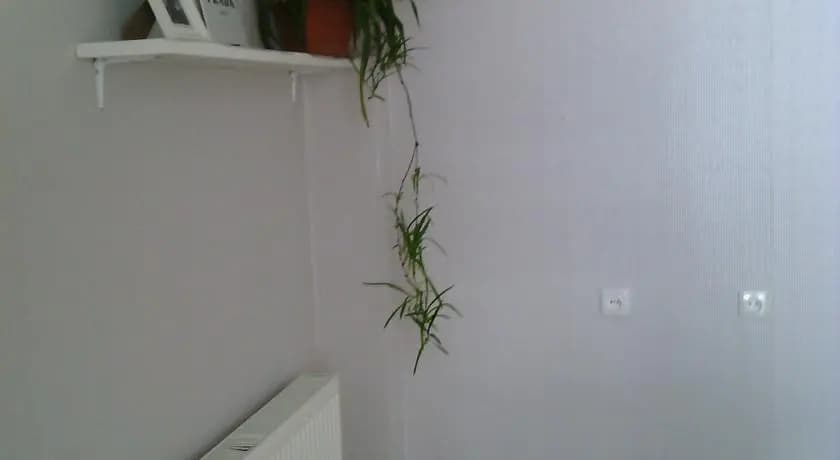 Guest House Mariel - photo 3