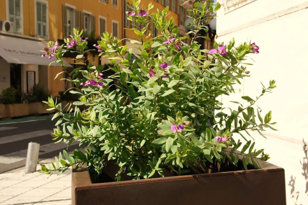 Hotel Ambassador Nice - photo 18