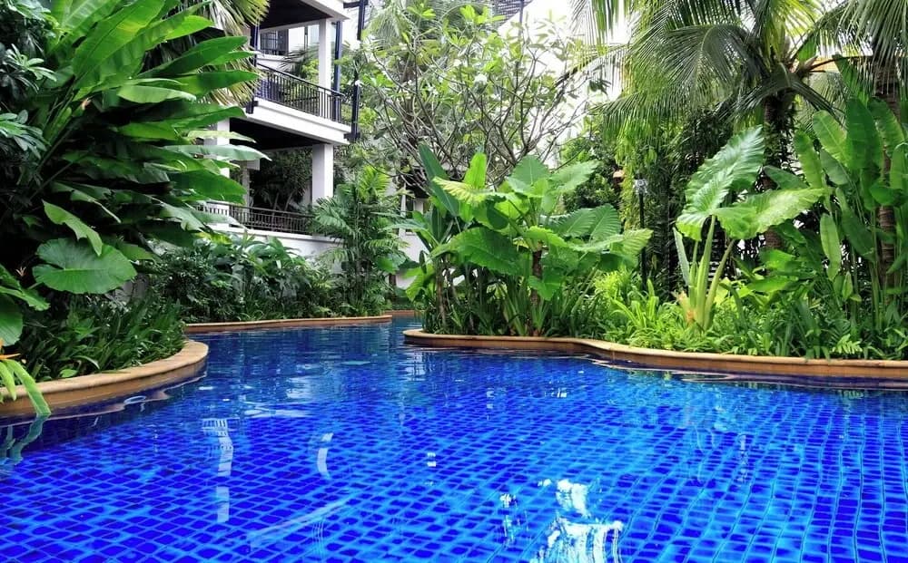 Ocean views Kata gardens penthouse 6C near Kata Noi Beach - photo 28