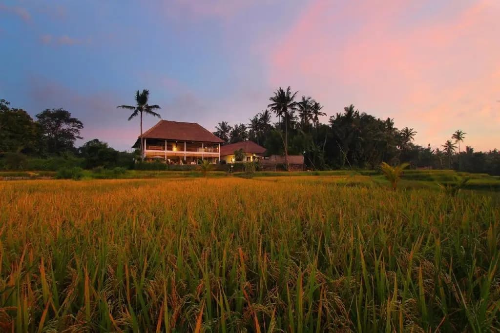 Frangipani Villas - photo 11