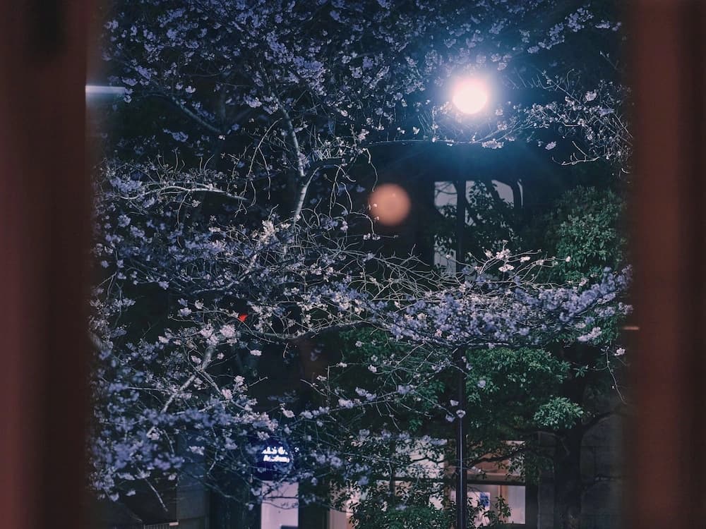 illi Toas Tokyo-Toranomon - photo 18