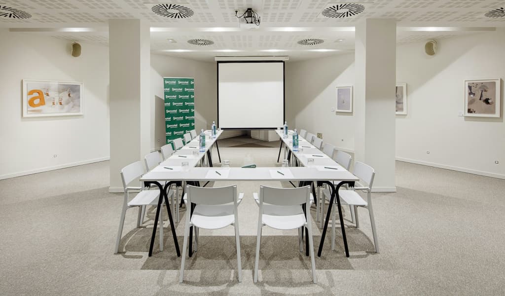 Sercotel Amister Art Hotel - photo 24