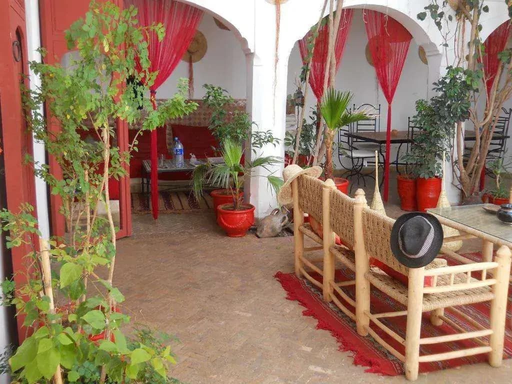 Riad La Casa - photo 4