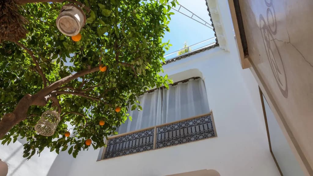 Riad Les Orangers d'Alilia - photo 1