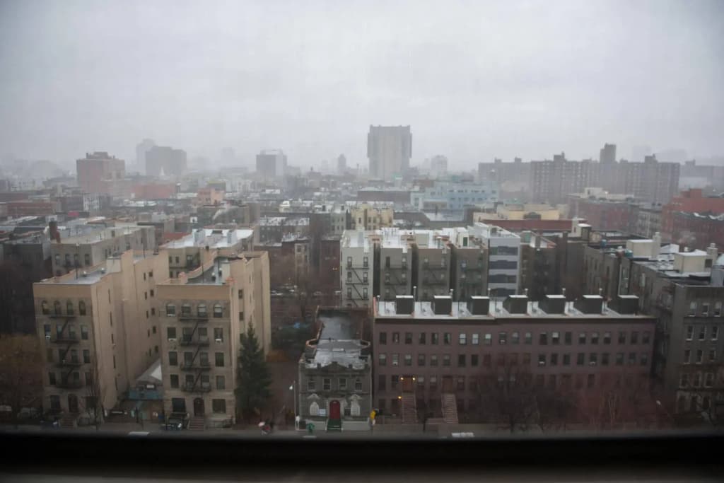 Harlem YMCA Hostel - photo 21